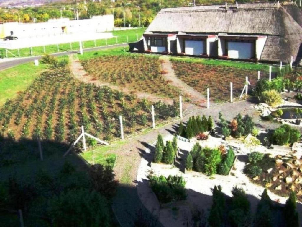 卡罗利罗伯特迪亚科酒店 Gyöngyös 外观 照片